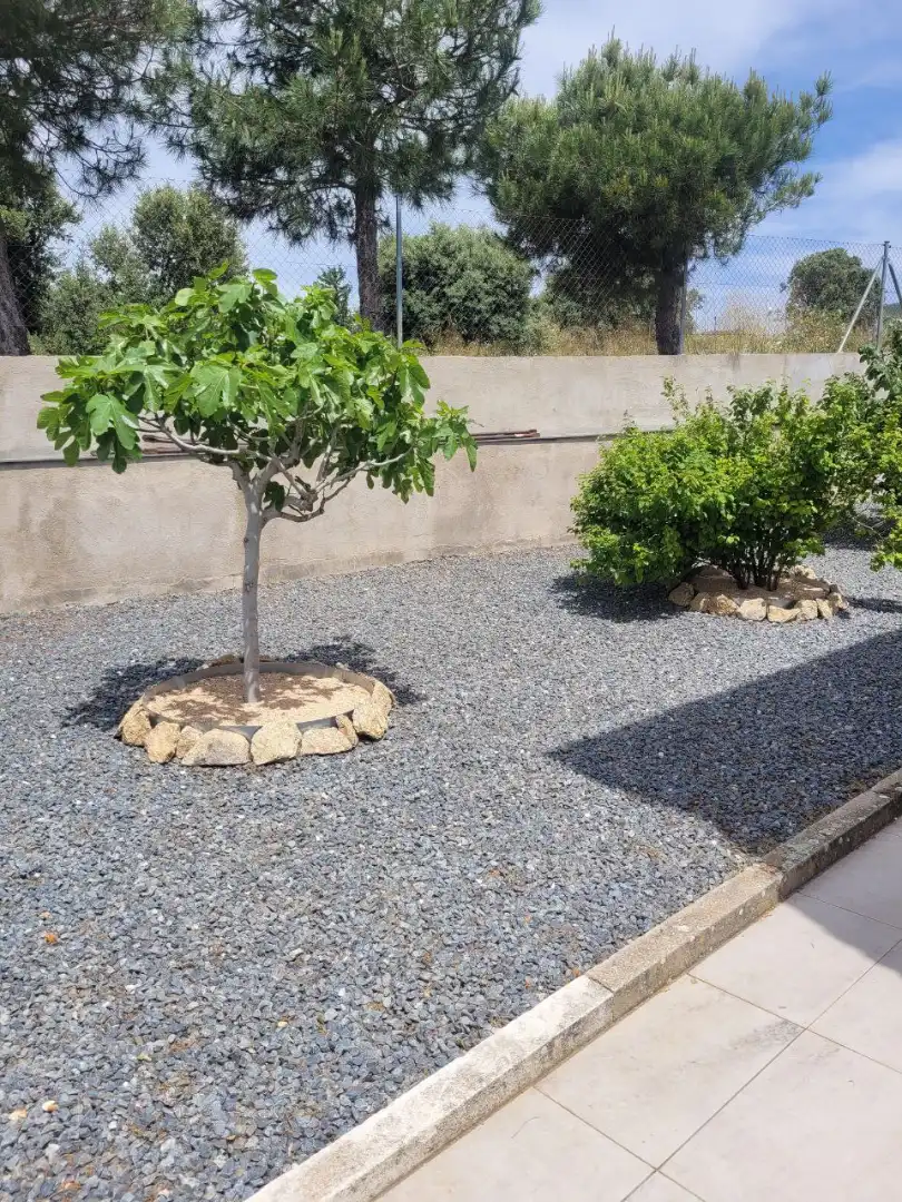 Garden of Houses for sale in Otero de Herreros  with Air Conditioner, Heating and Private garden