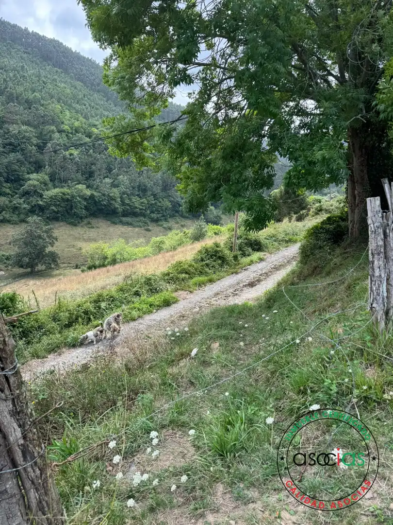 Vista exterior de Terreny en venda en Villaviciosa