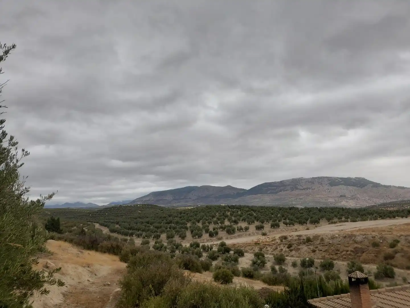 Terreni e lotti in vendita a Puente Tablas - Puente Nuevo - Cerro Molina, imagen 11