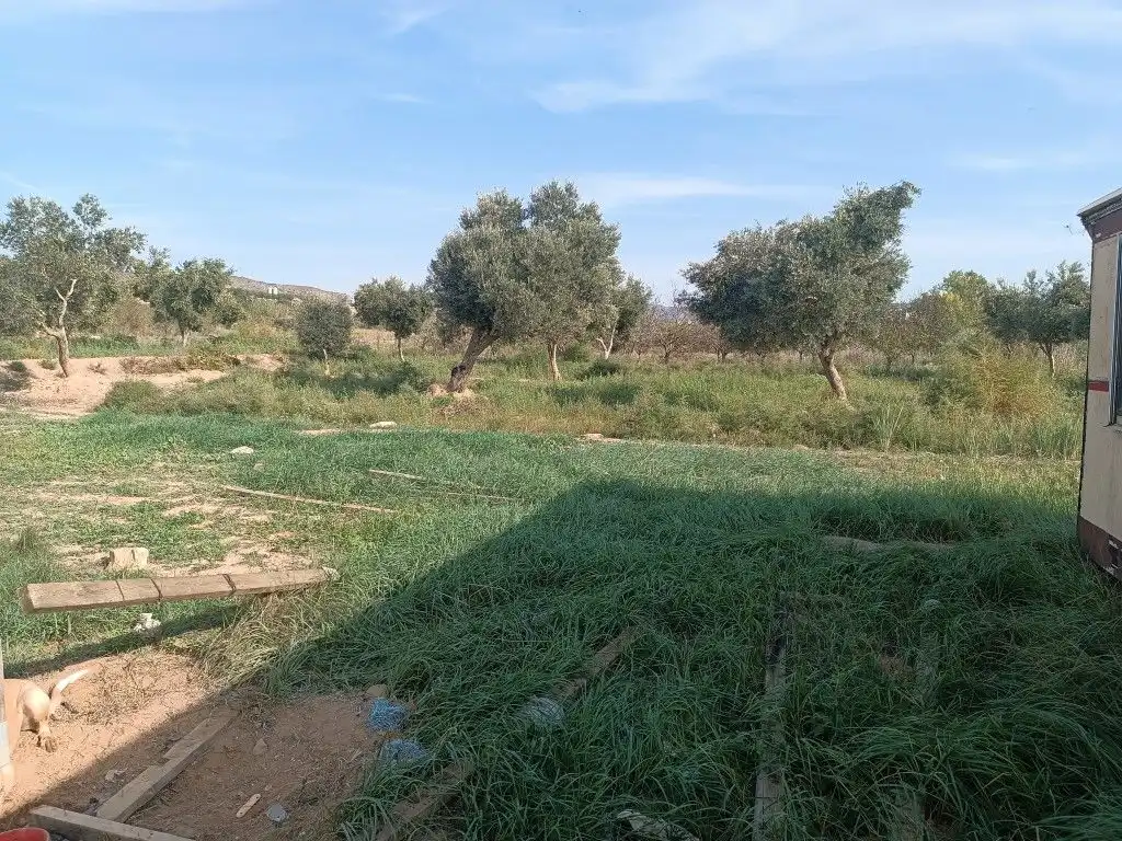 Terreni e lotti in vendita a Avenida Orbe Cano 12, imagen 4