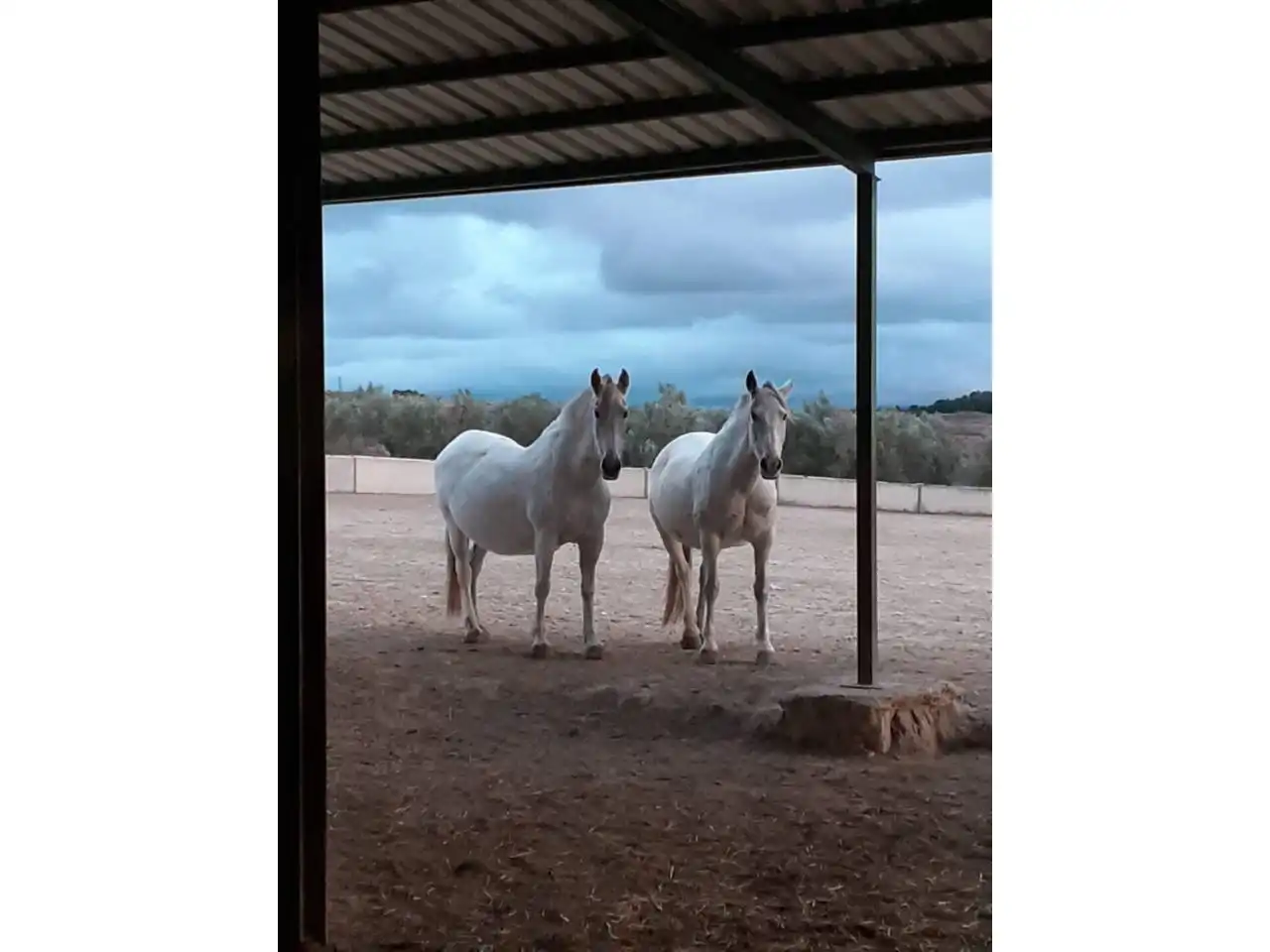 Inmuebles singulares en venta en Cuevas del Campo, imagen 33