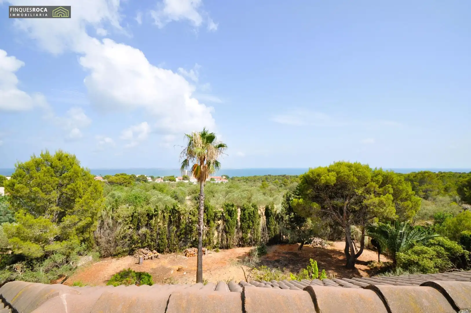 Jardí de Casa o xalet en venda en Alcanar amb Aire condicionat, Calefacció i Jardí privat