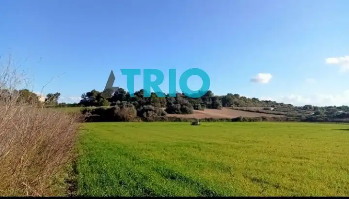 Terreny rústic en venda a Santa Margalida Poble