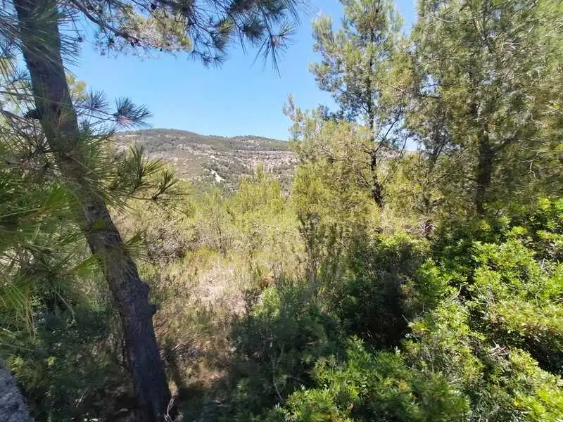Residential land for sale in EL PINAR, imagen 7