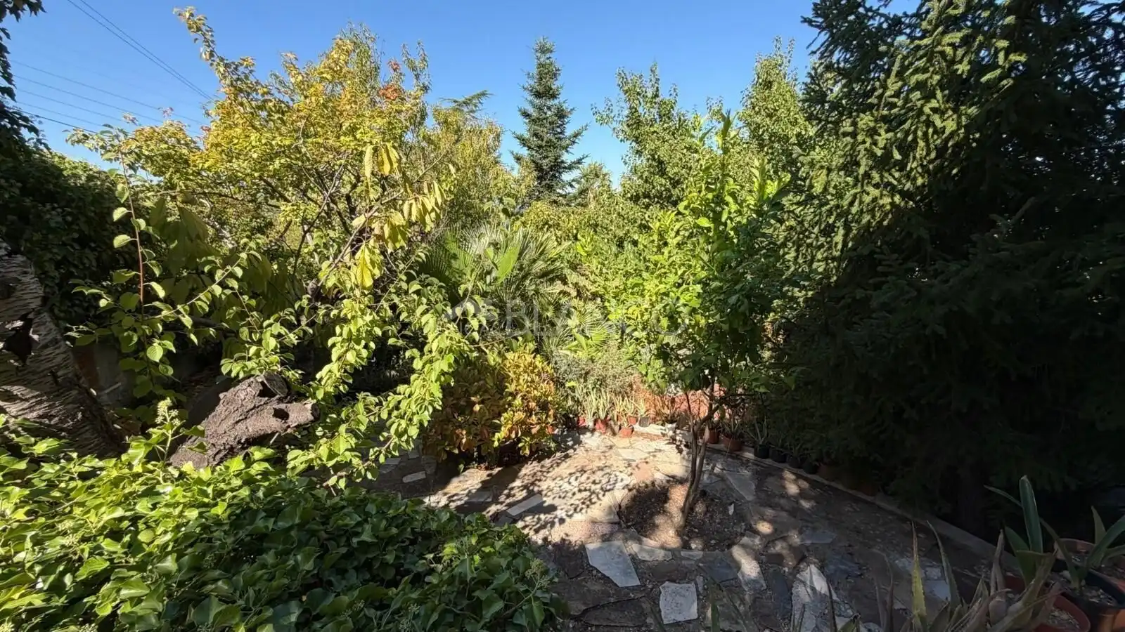 Casa con giardino in vendita a Piera, imagen 27