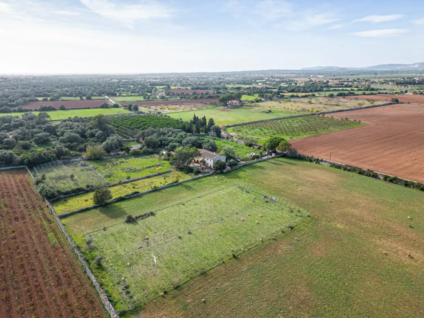 Residential land for sale in S'Horta - Cas Concos des Cavaller - Es Carritxó, imagen 3