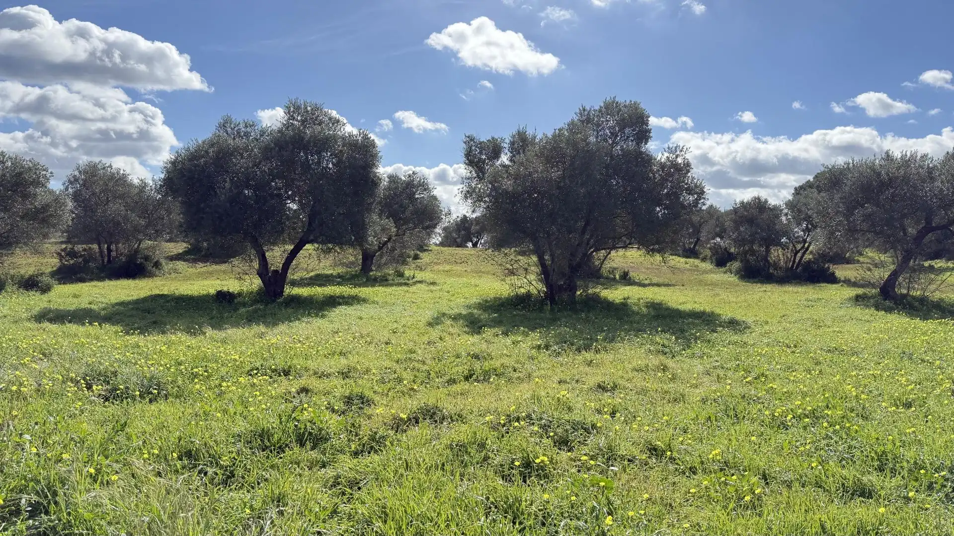 Country homes for sale in Gibraleón