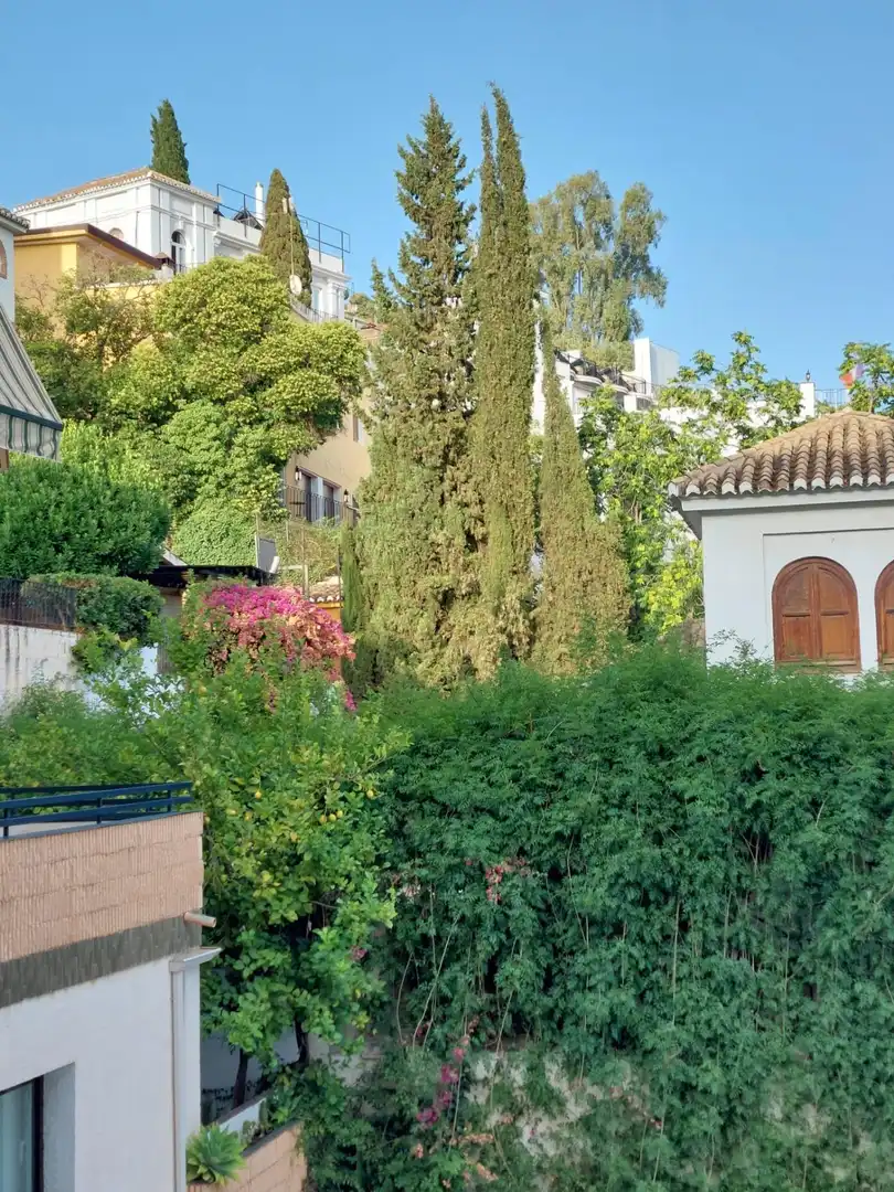 Studio with pool to rent in ESCORIAZA, imagen 24