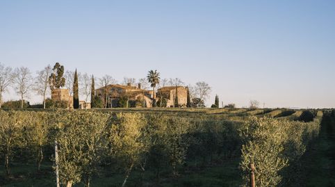 Foto 3 de Casa o chalet en venta en Llagostera, Girona