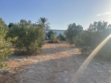 Casa rústica en venda a Arcos de la Frontera