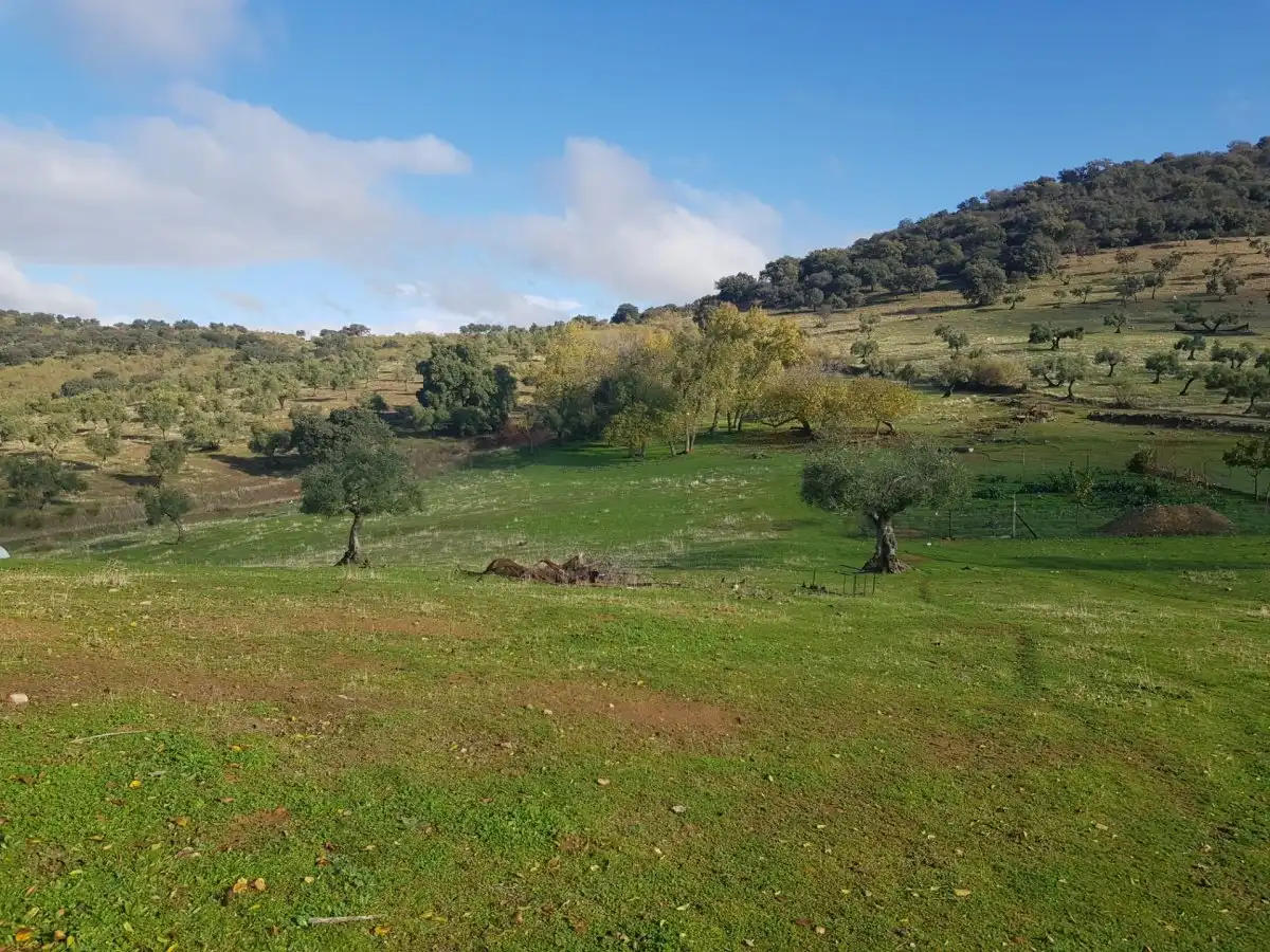 Country house zum Verkauf in Villanueva del Rey mit Privatgarten und Abstellraum