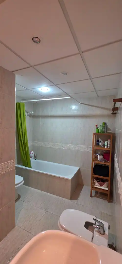 Bany de Dúplex en venda en L'Ametlla de Mar  amb Jardí privat i Terrassa