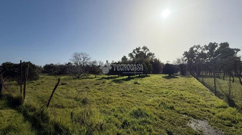 Photo 4 of Land for sale in Olivar Pje. Alameda Jaedillas (polígono 34 Parcela, Arahal, Sevilla