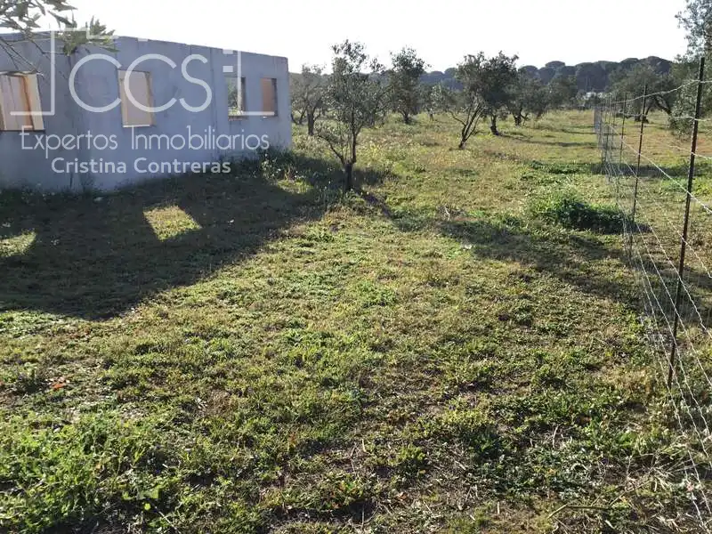 Finca rústica en venta en Almonte