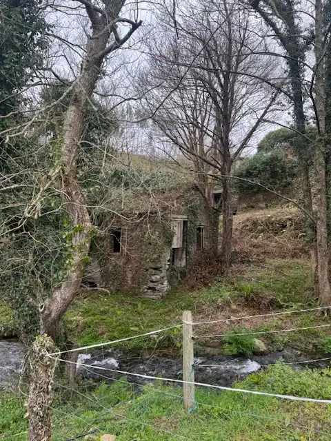 Vista exterior de Finca rústica en venta en Castropol