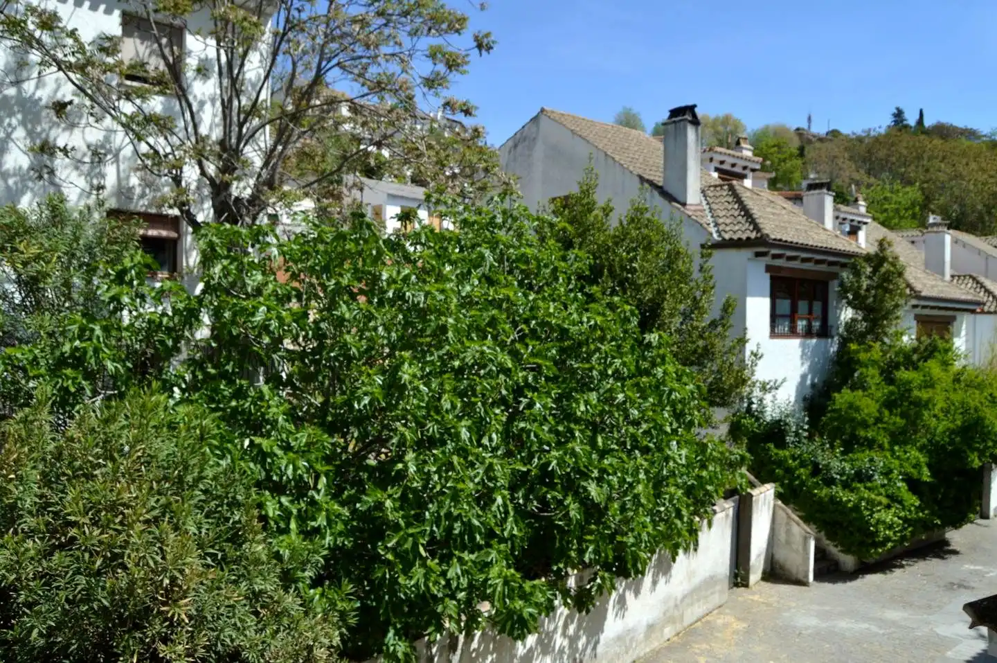 Vista exterior de Casa adosada en venda en Olmeda de las Fuentes amb Calefacció i Jardí privat