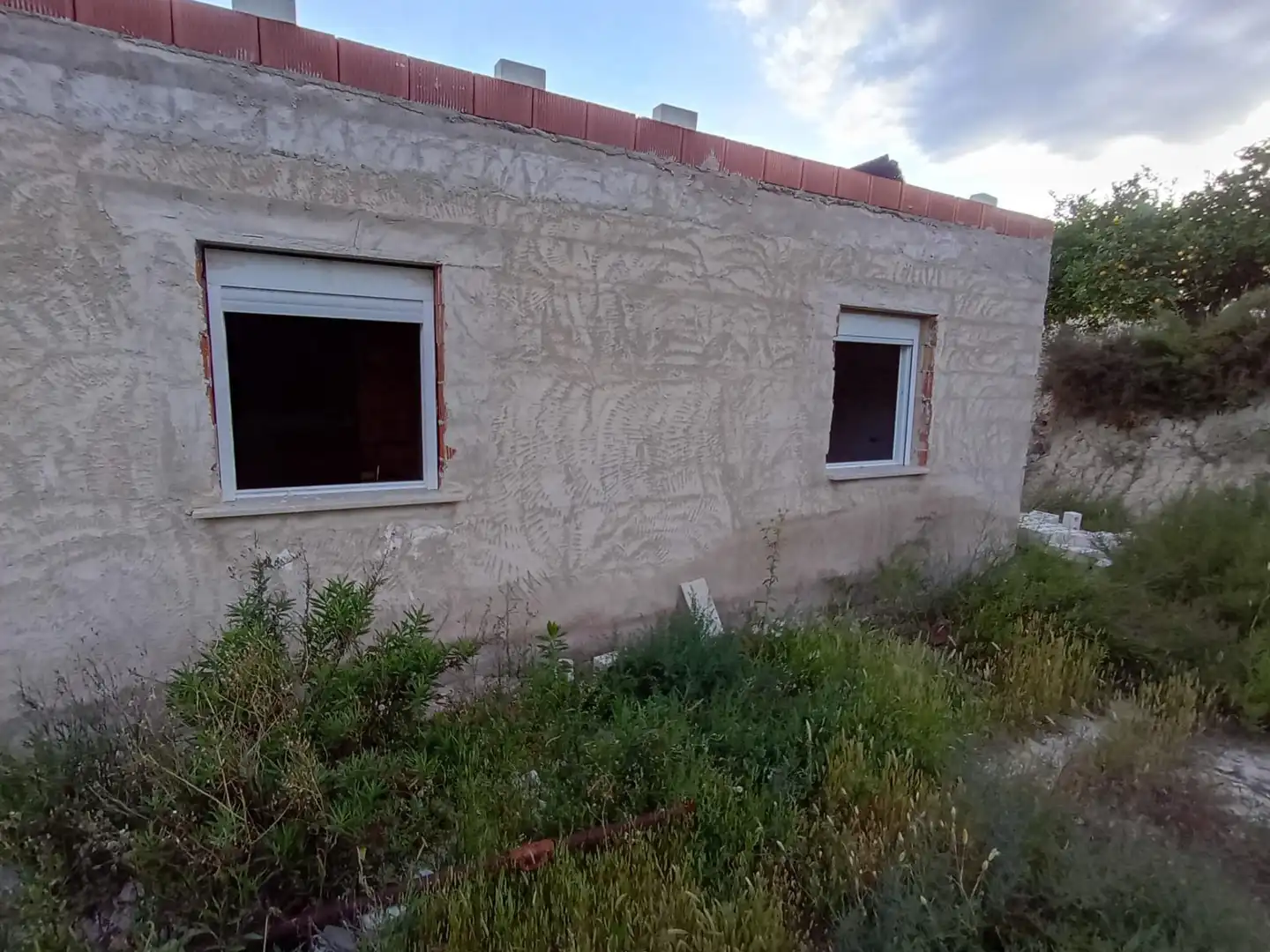 Rural land for sale in Archena, imagen 4