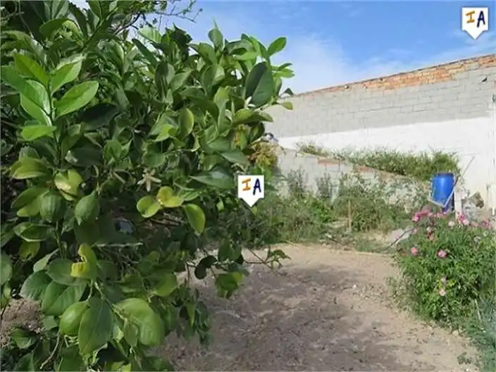 Terreni e lotti in vendita a Alcaudete, imagen 2