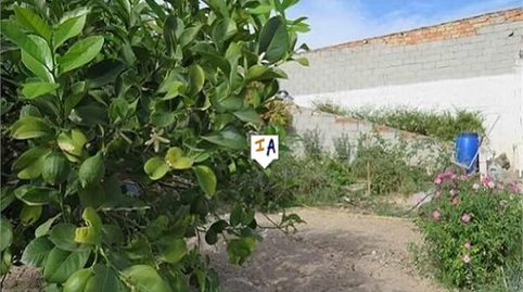 Foto 2 de Residencial en venta en Alcaudete, Jaén