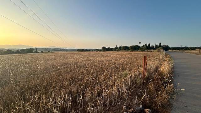 Terreno residencial en Venta en  Ariany en Ariany