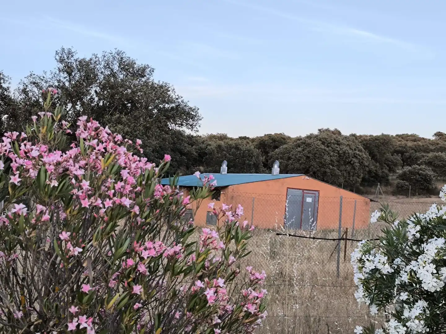 Rural land for sale in Fuente Obejuna, imagen 56