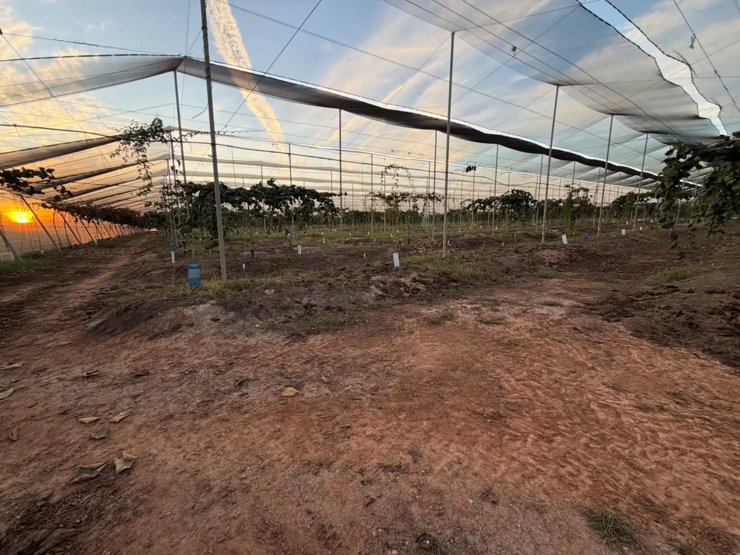 Finca rústica en venda en Urbanizaciones  