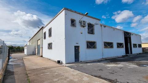 Photo 4 of Industrial buildings for sale in Camino Entrepinos a, 4, Pedanías Este, Aspe