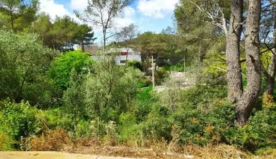 Residential land for sale in Olivella