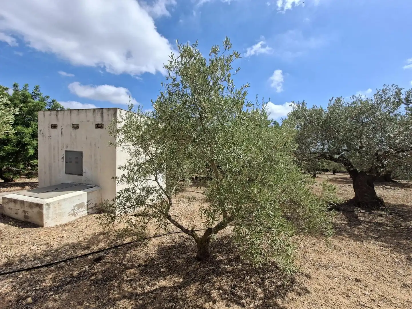 Terreno rustico in vendita a Partida del Mas d'en Civill, imagen 39
