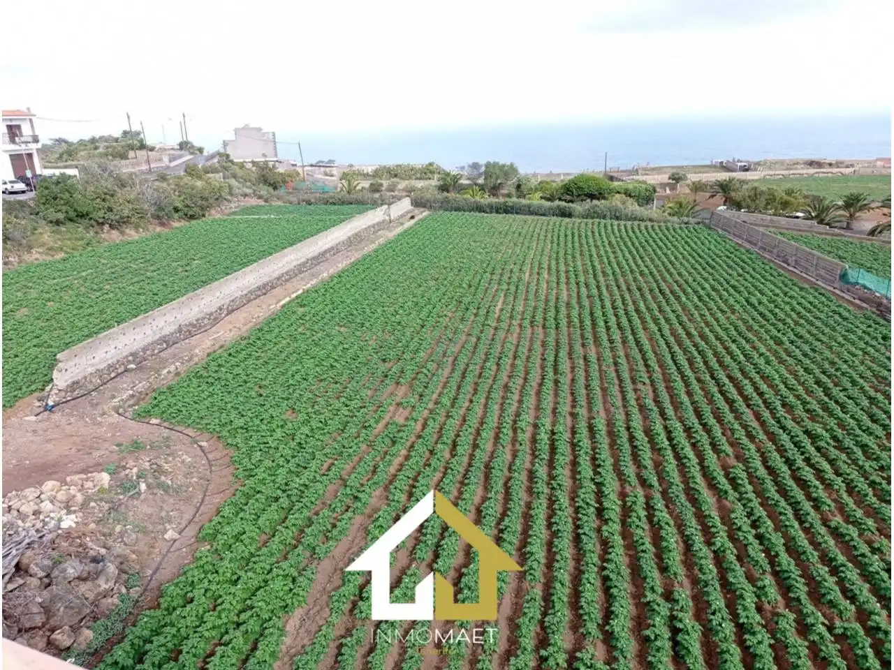 Rural land for sale in Camino Cueva del Rey 12, imagen 4