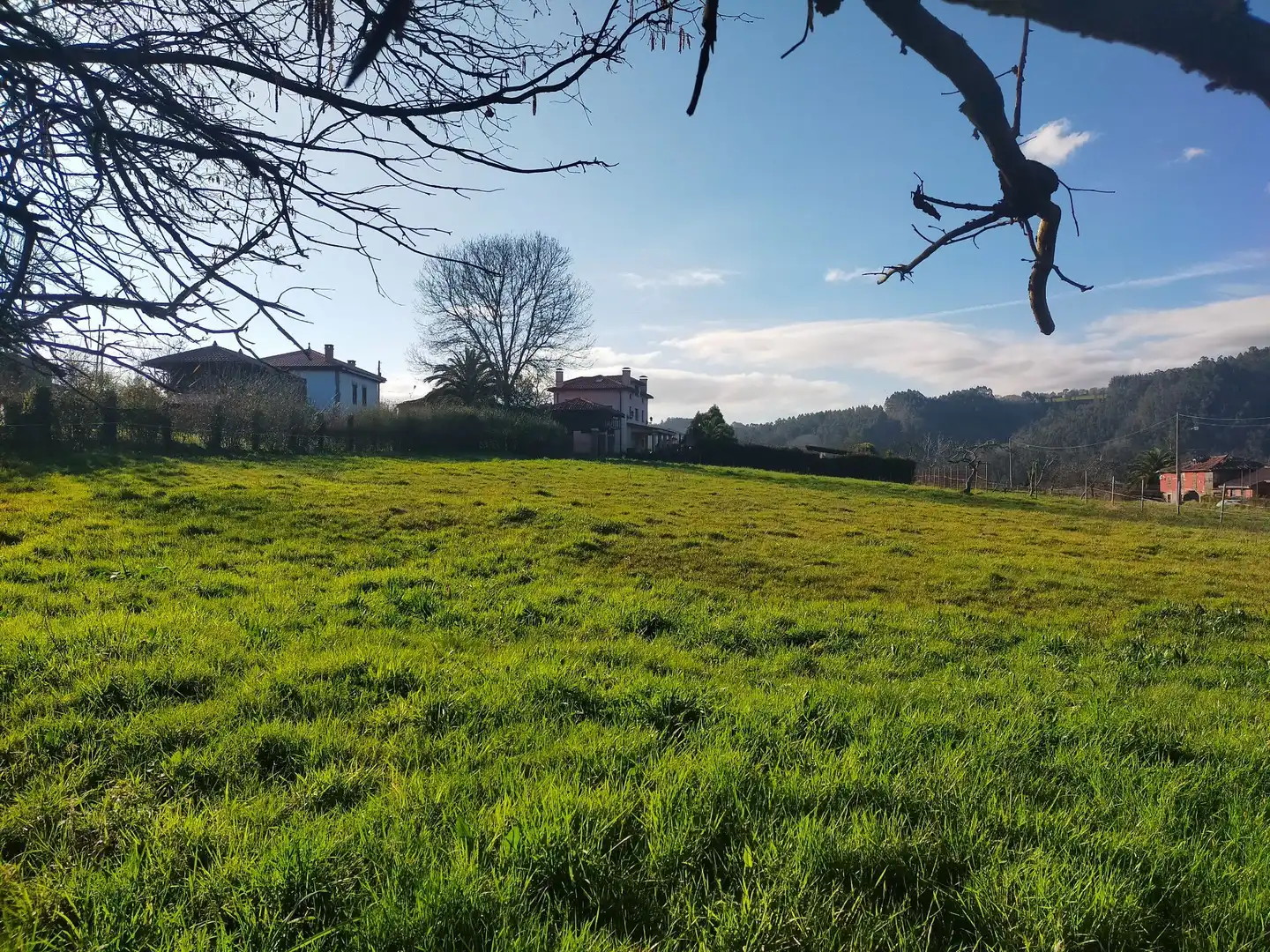 Terreni e lotti in vendita a Pravia