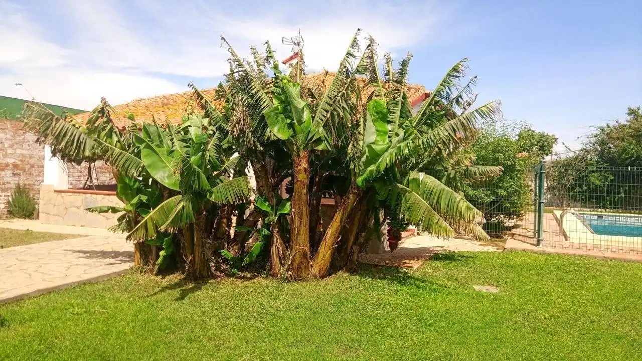 Chalet con piscina en venta en El Zabal - Santa Margarita, imagen 37