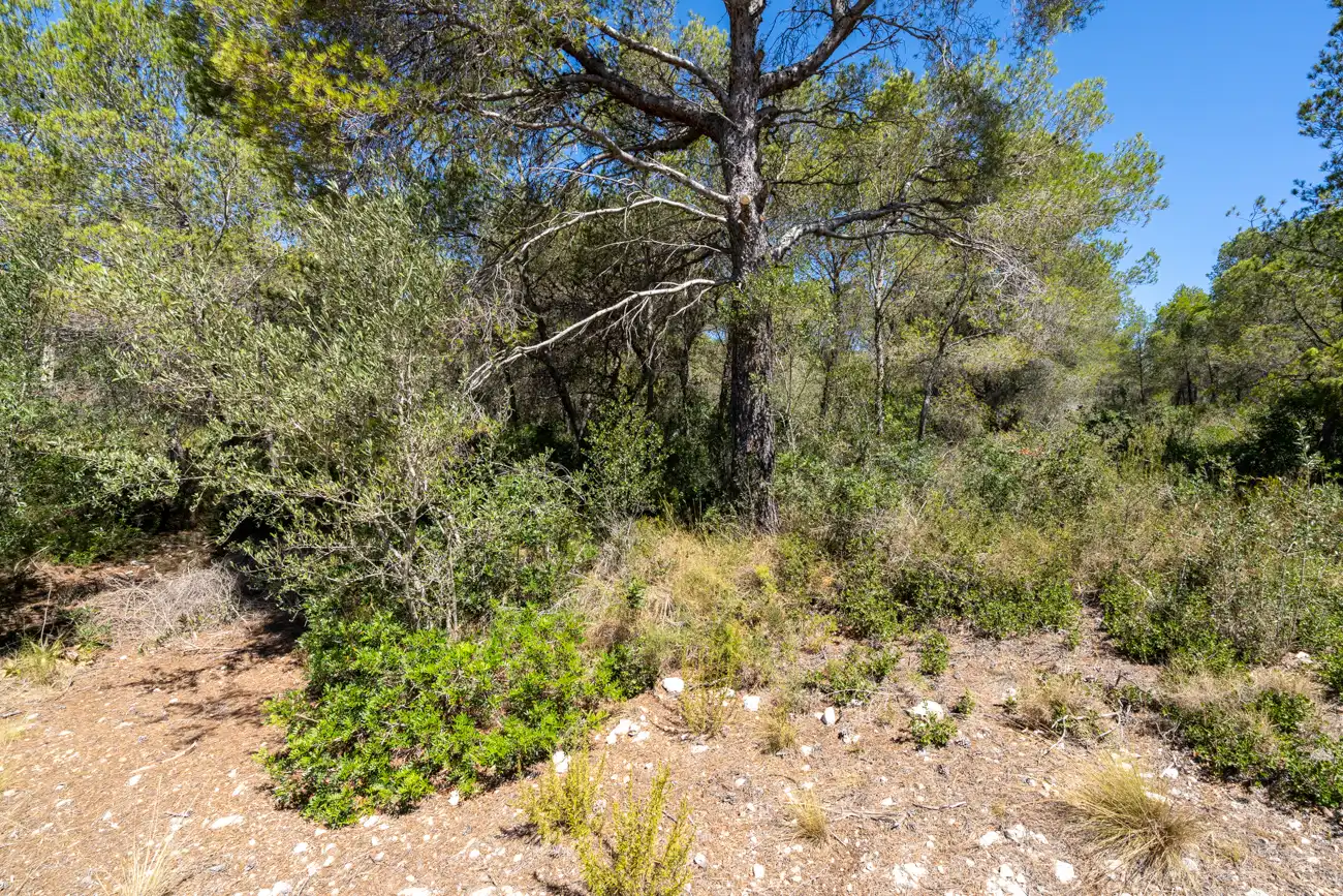 Terreno en venta en L'Ametlla de Mar 