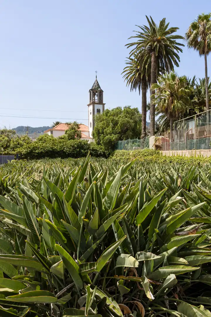 Exterior view of Country homes for sale in San Cristóbal de la Laguna  with Private garden, Terrace and Balcony