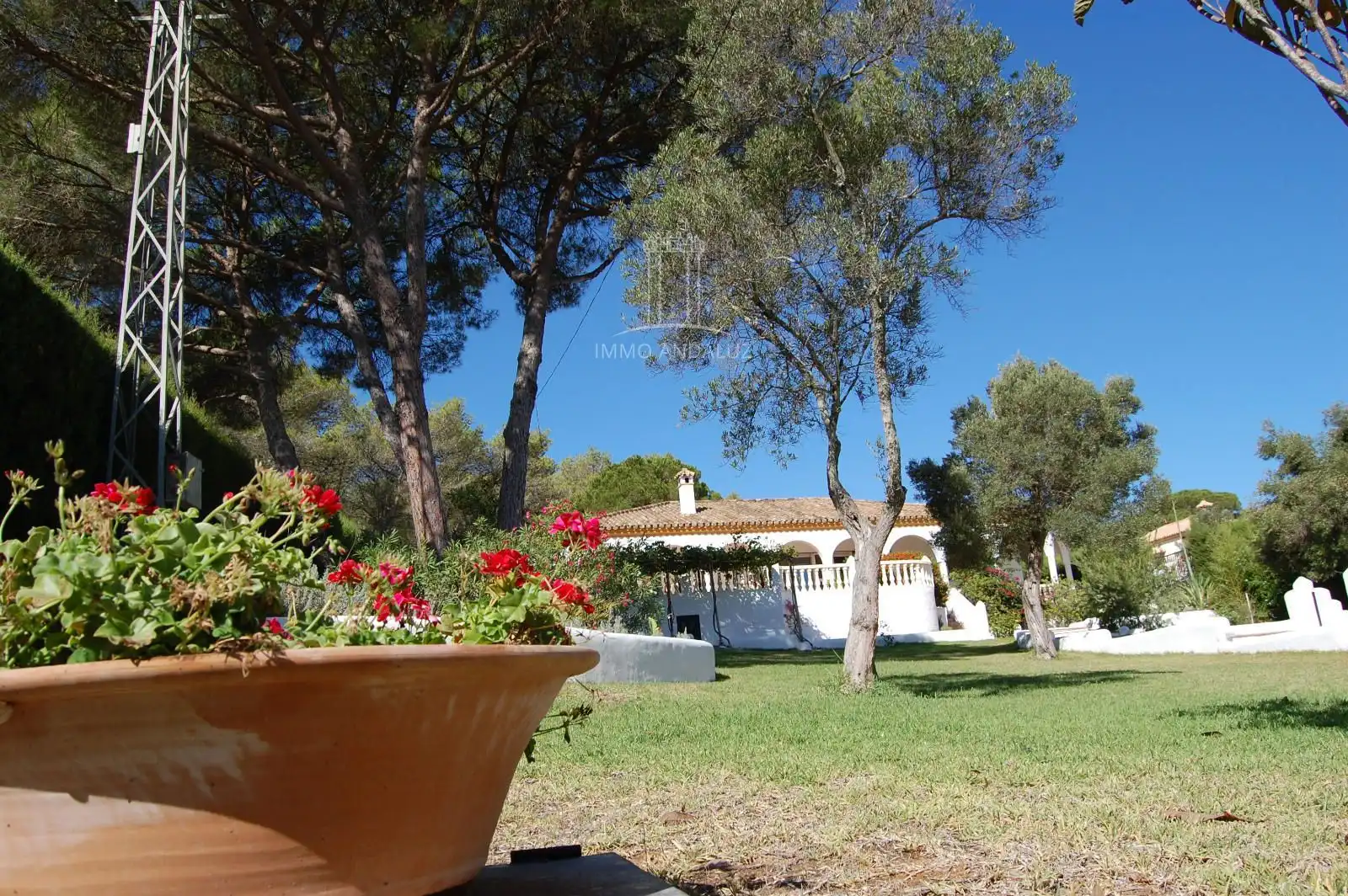 Jardí de Casa o xalet en venda en Vejer de la Frontera amb Aire condicionat i Piscina