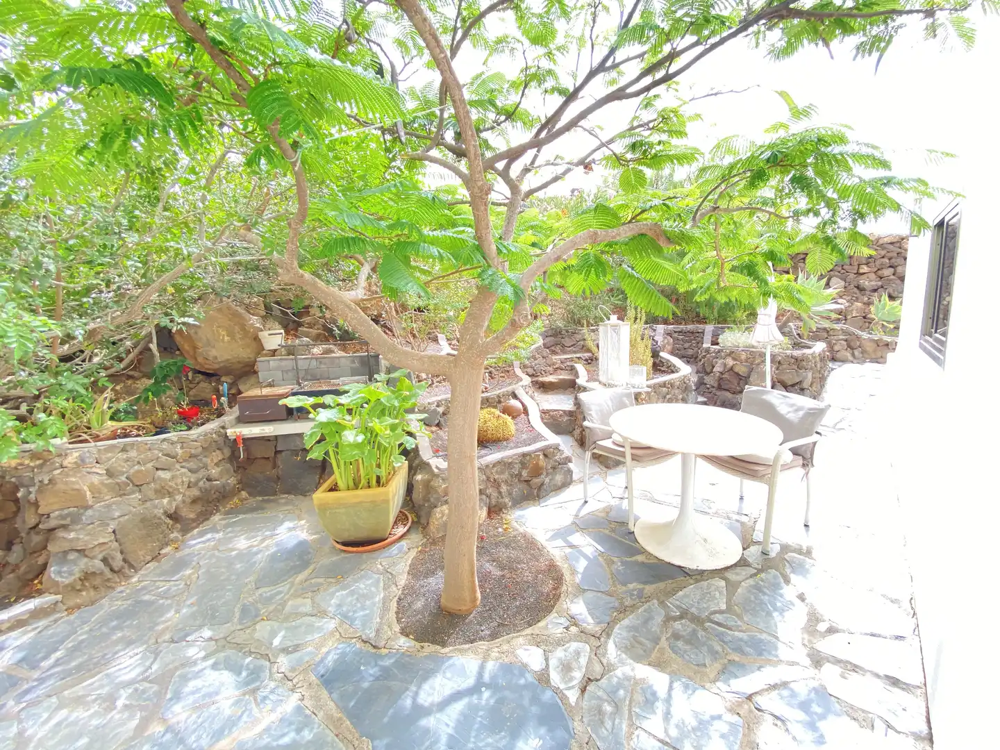 Jardí de Casa o xalet en venda en Yaiza amb Jardí privat, Terrassa i Piscina