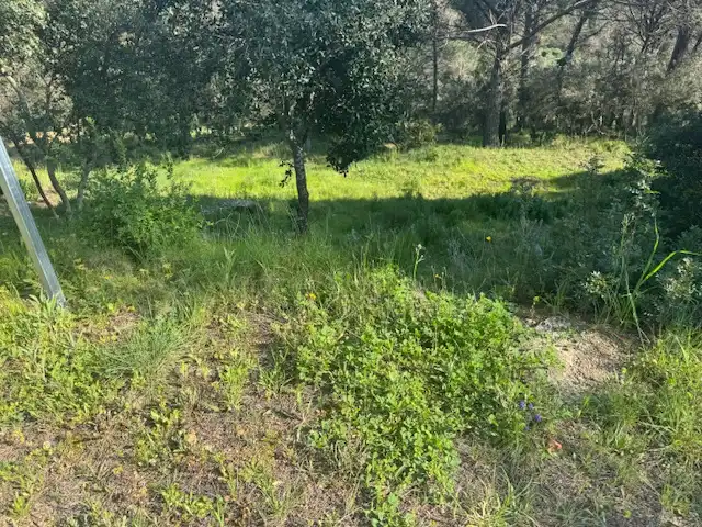 Residential land for sale in Ferrers, imagen 8