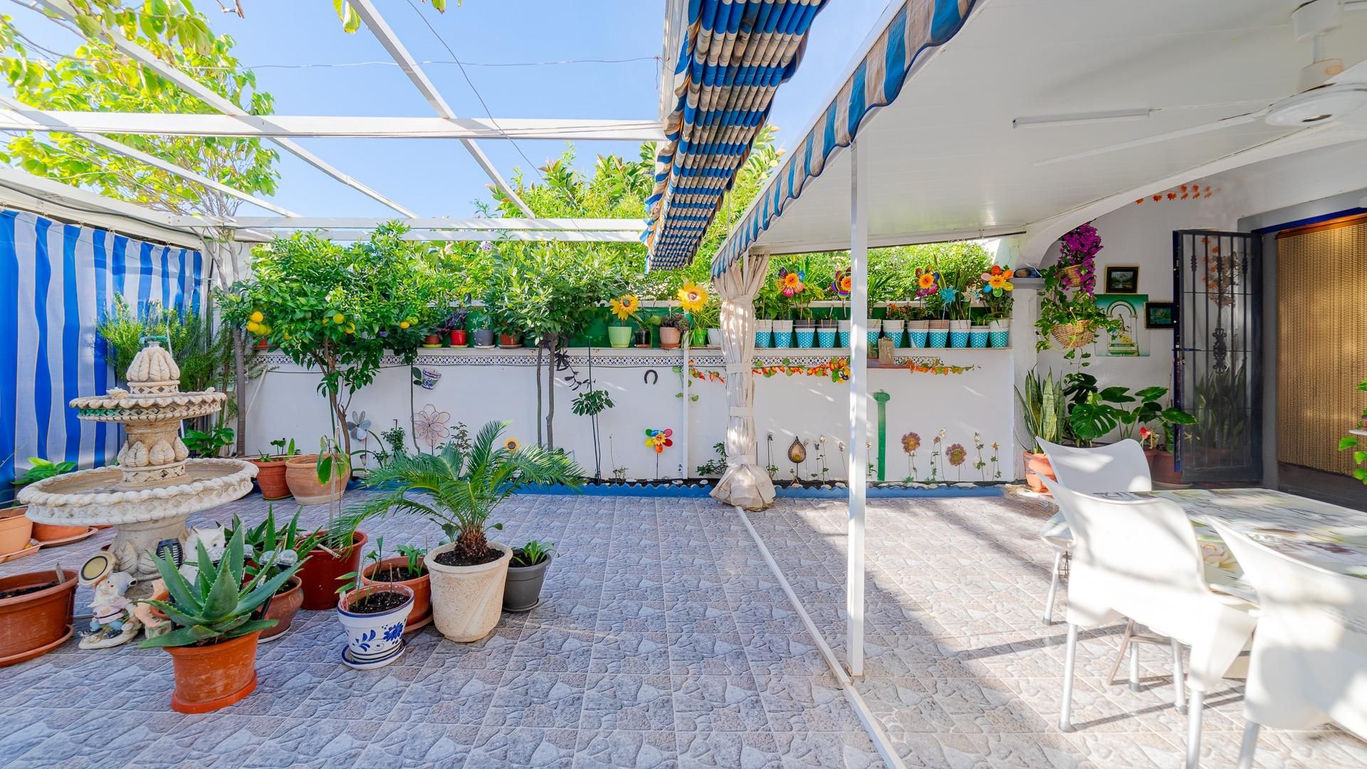 Jardí de Casa o xalet en venda en Torrevieja amb Jardí privat i Moblat