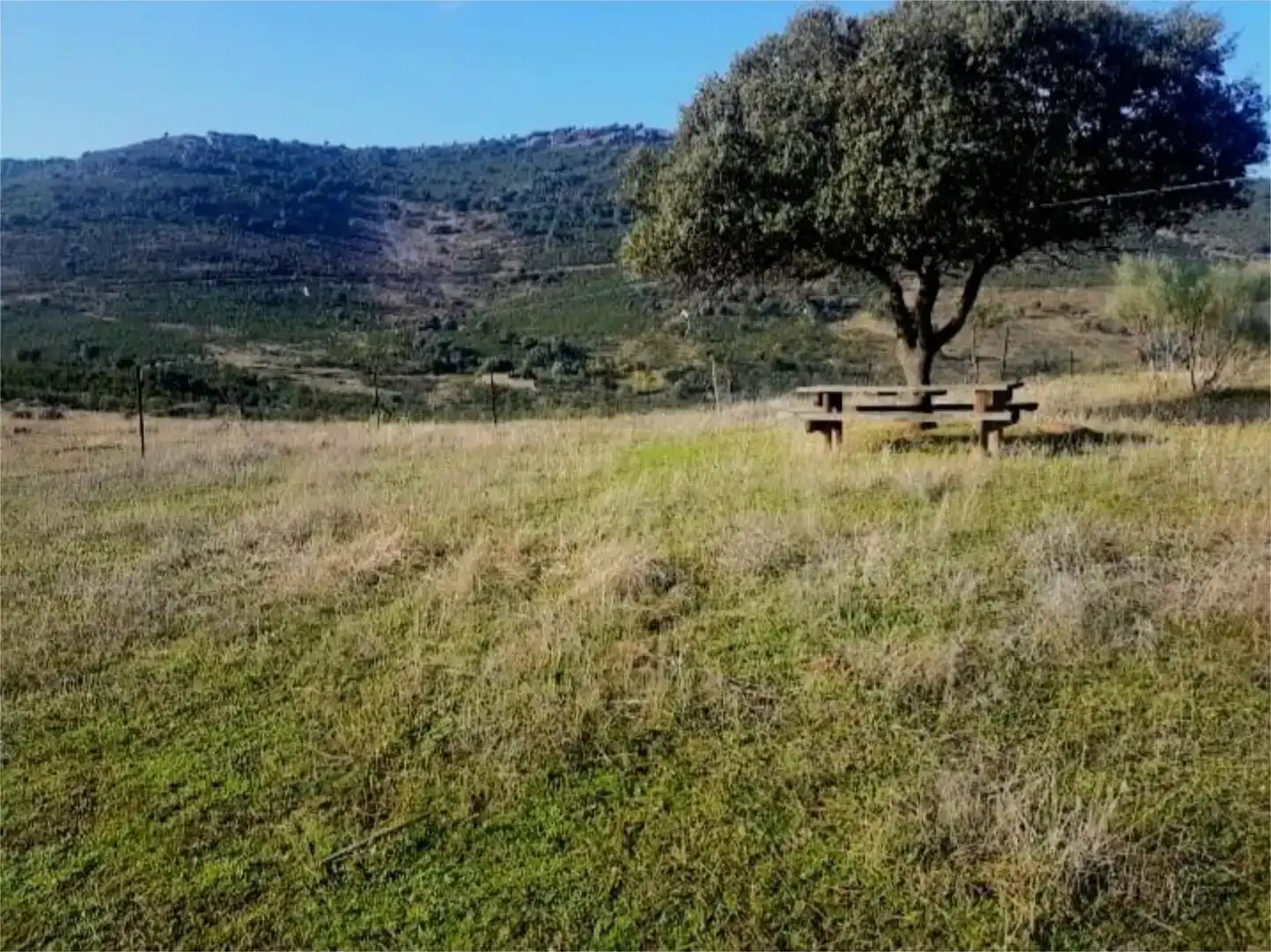 Finca rústica en venda en Villarta de los Montes