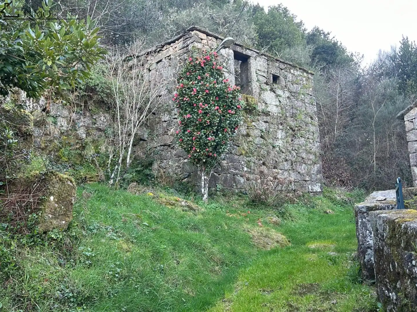Vista exterior de Casa o xalet en venda en Cerdedo amb Jardí privat i Traster