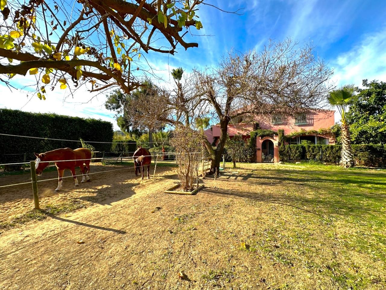 Garden of Country house for sale in Estepona