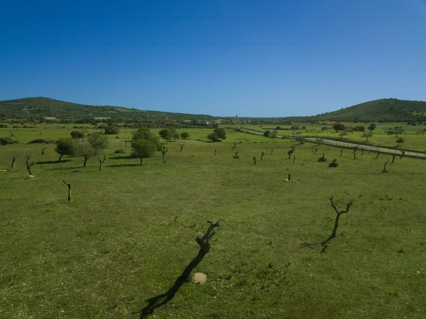 Rural land for sale in Sant Llorenç des Cardassar, imagen 16
