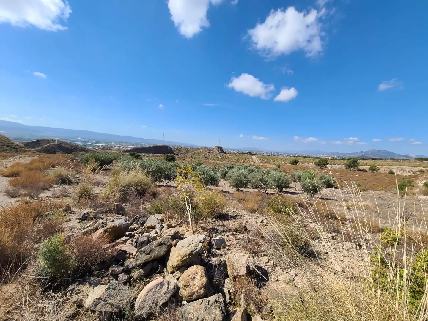 Terrains et parcelles à vendre à Pedanías Centro, imagen 41