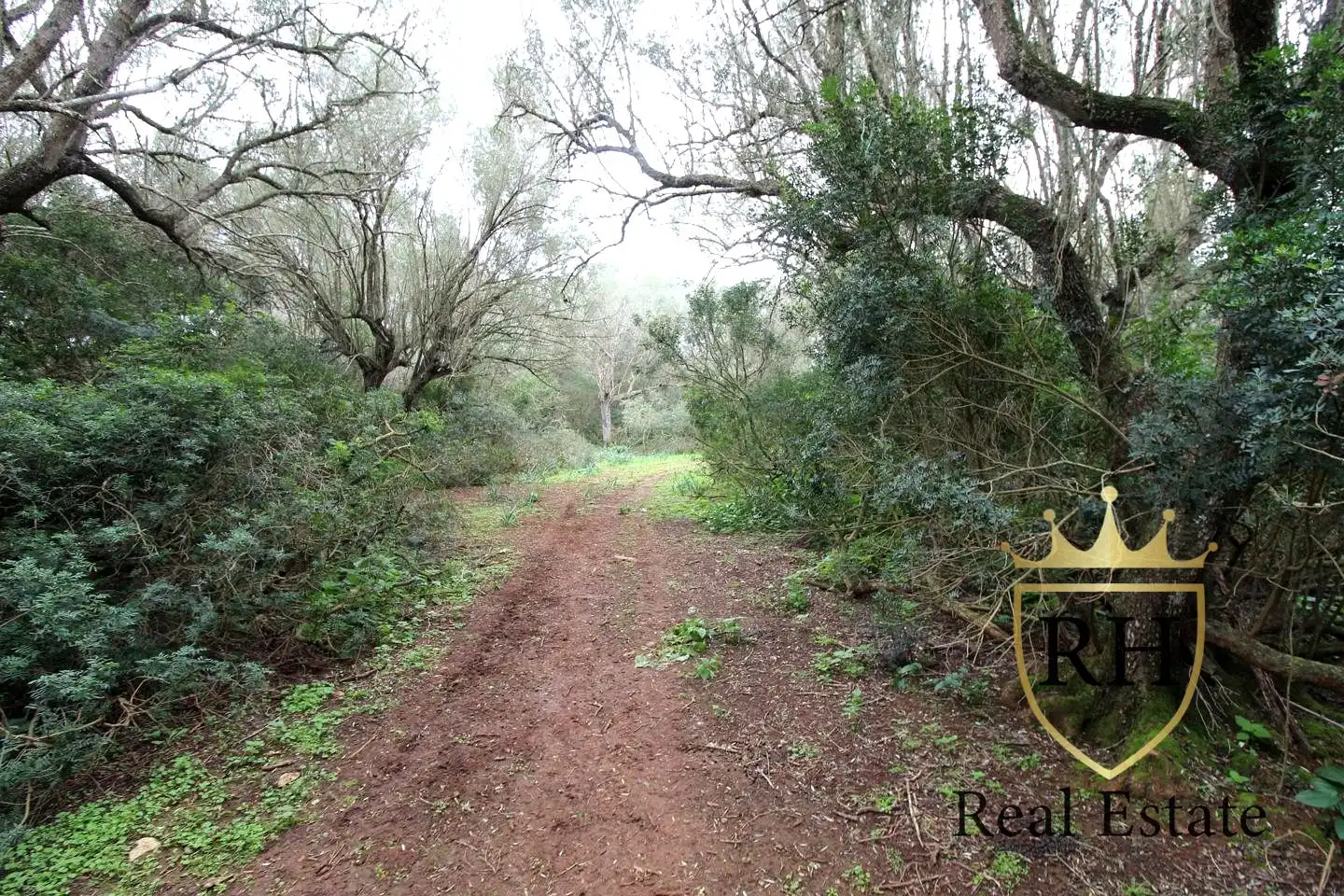 Lands and plots for sale in POLIGONO 49 PARCELA 3, imagen 11