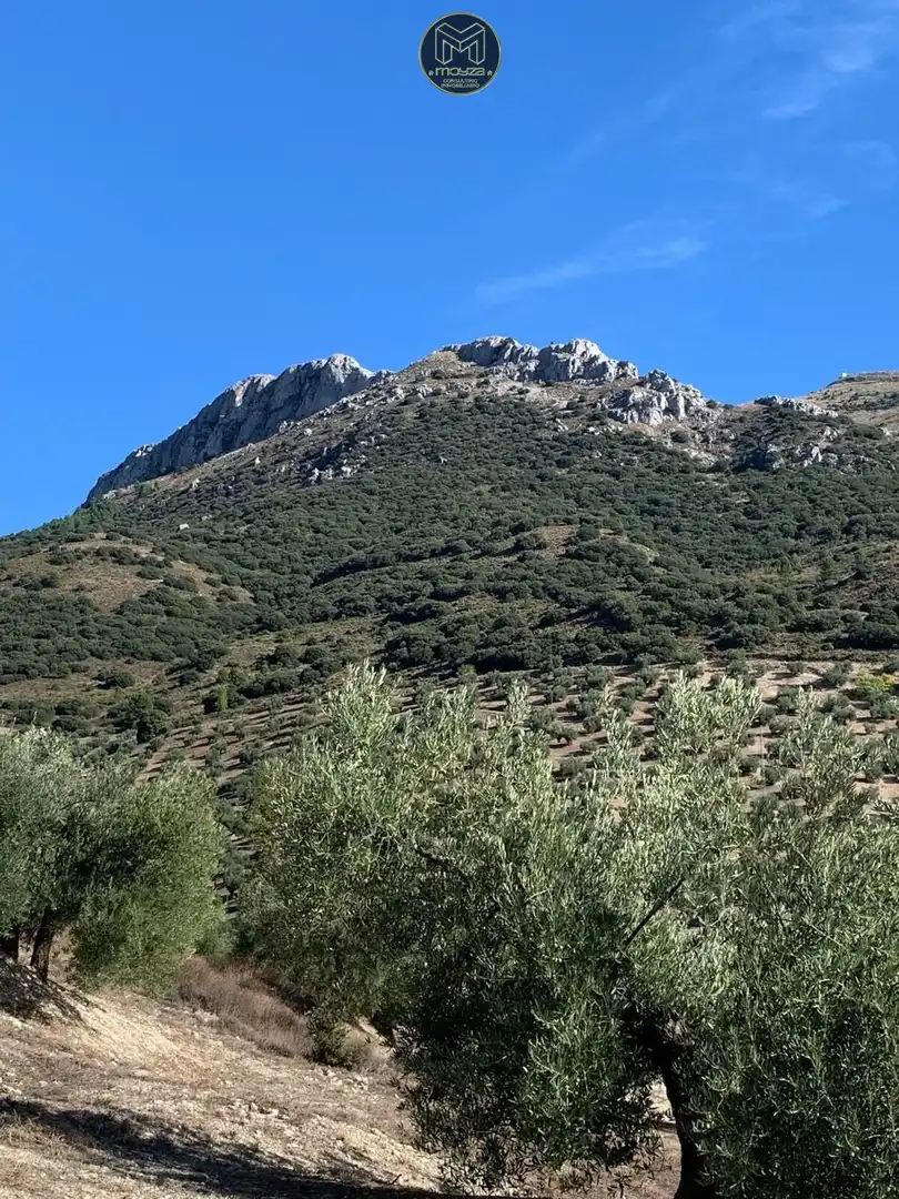 Xalet en venda a Torredelcampo, imagen 12
