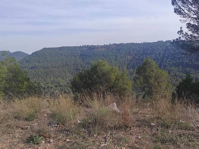 Terreno residencial en Venta en Carrer Mirador de Canet en Fonollosa