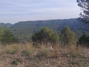 Terreny residencial en venda a Carrer Mirador de Canet