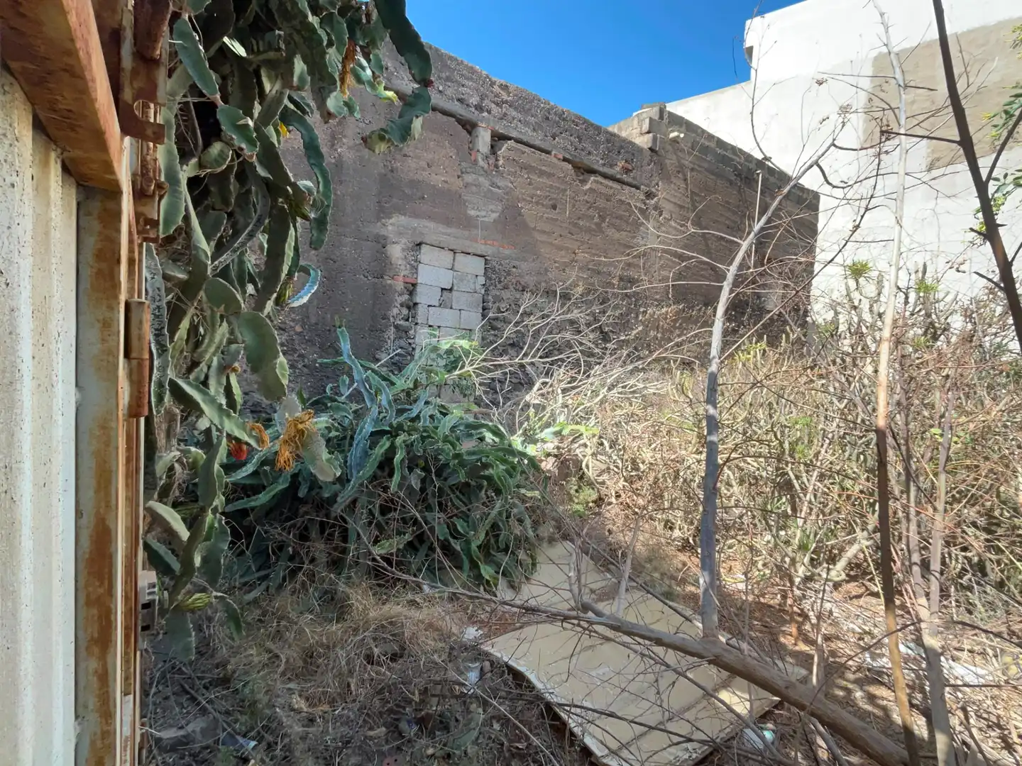 Casa o chalet en venta en Carrizal