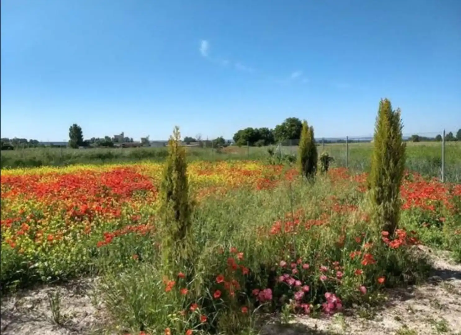 Grundstücke zum Verkauf in Roa