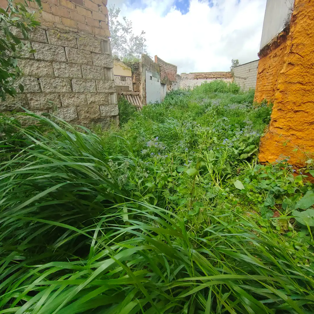 Residencial en venda en Sanlúcar la Mayor